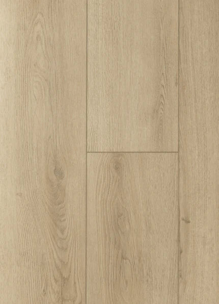 Avignon Molding