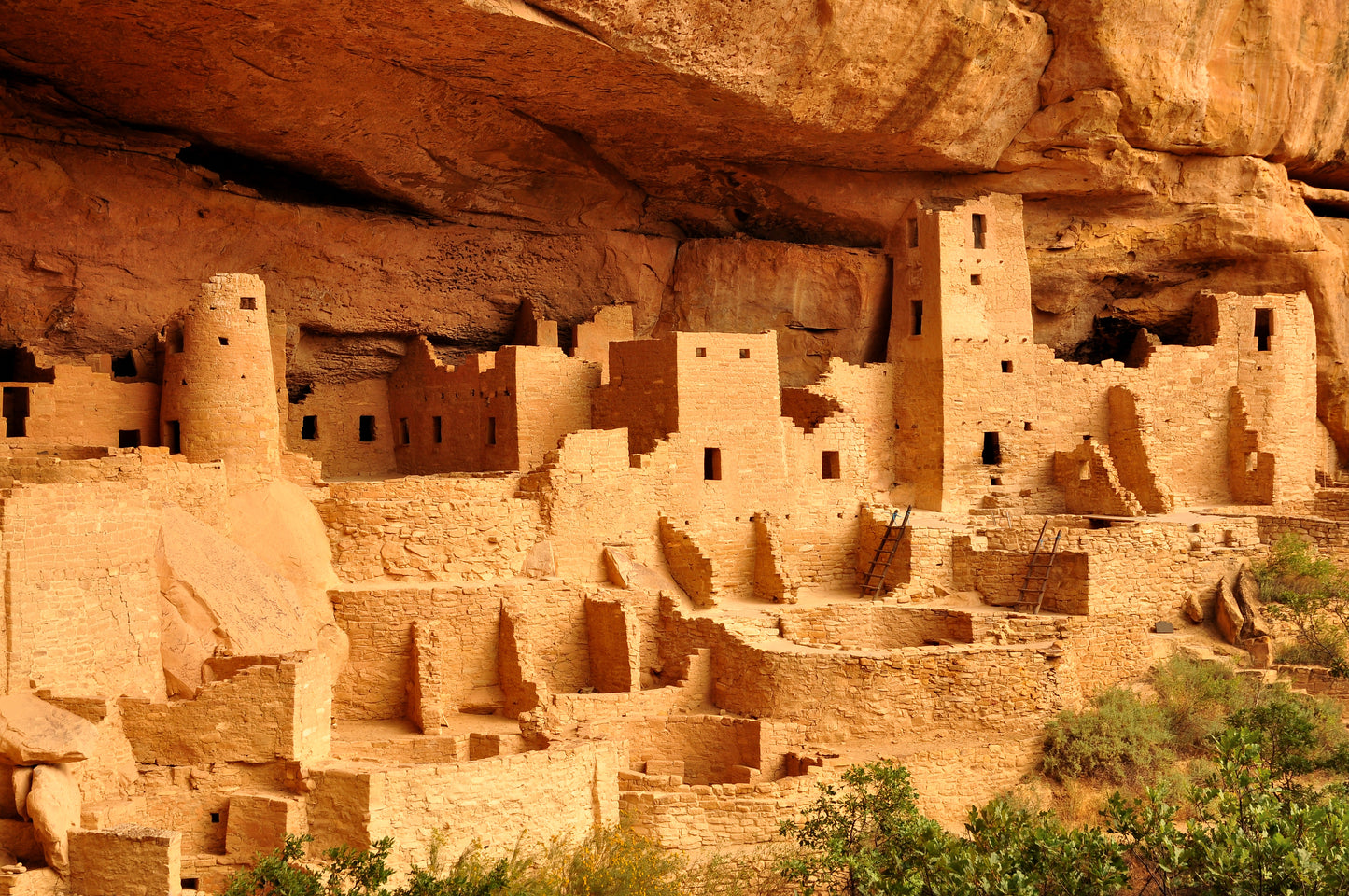 Mesa Verde Molding