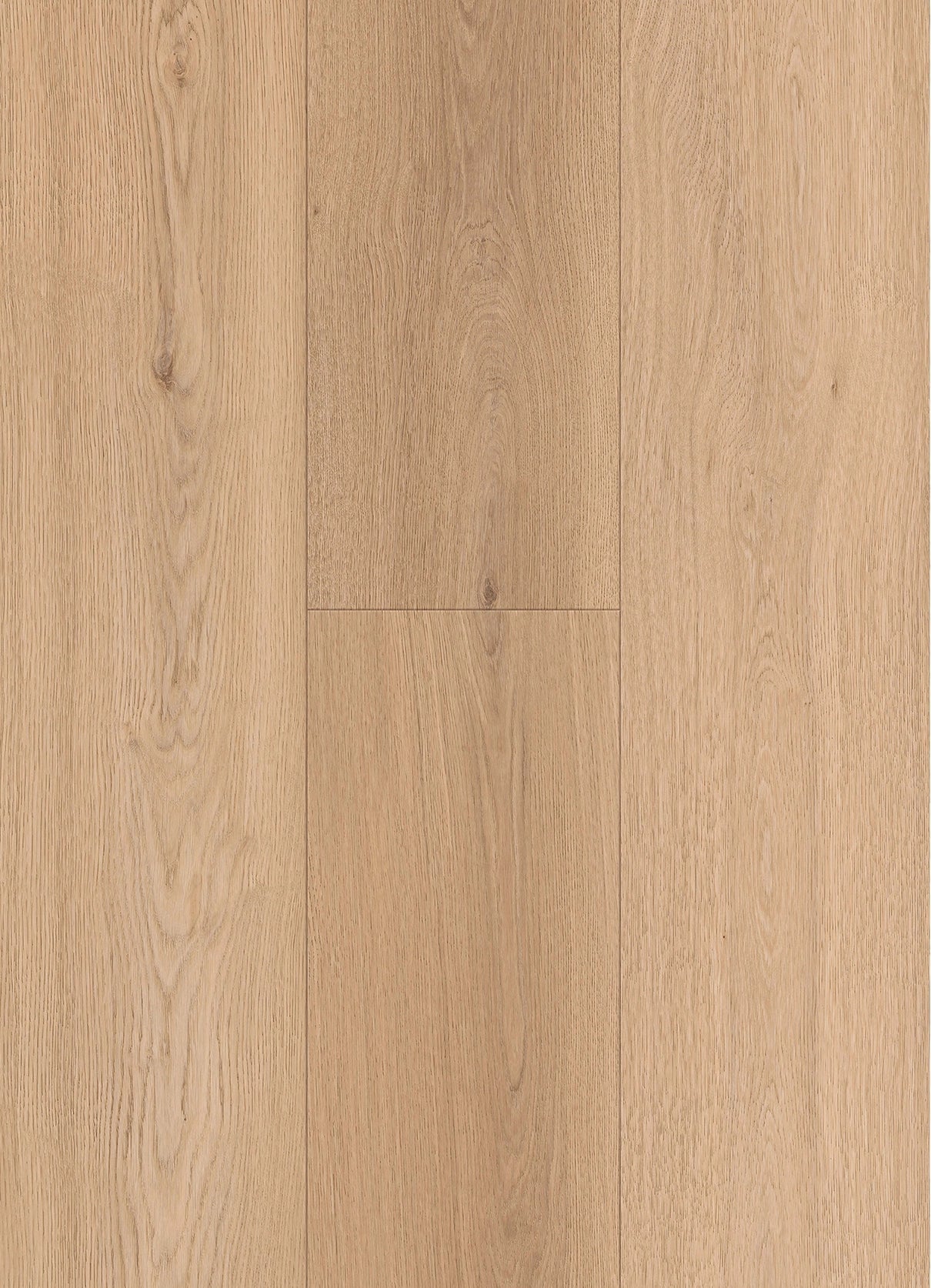 Matera Molding