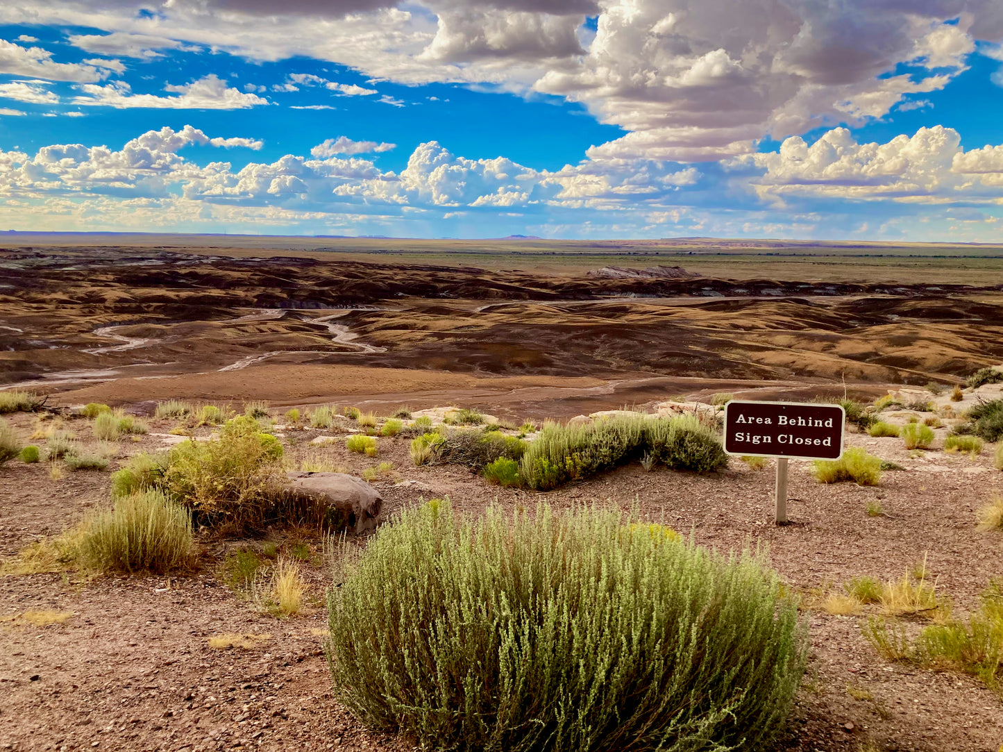 Painted Desert