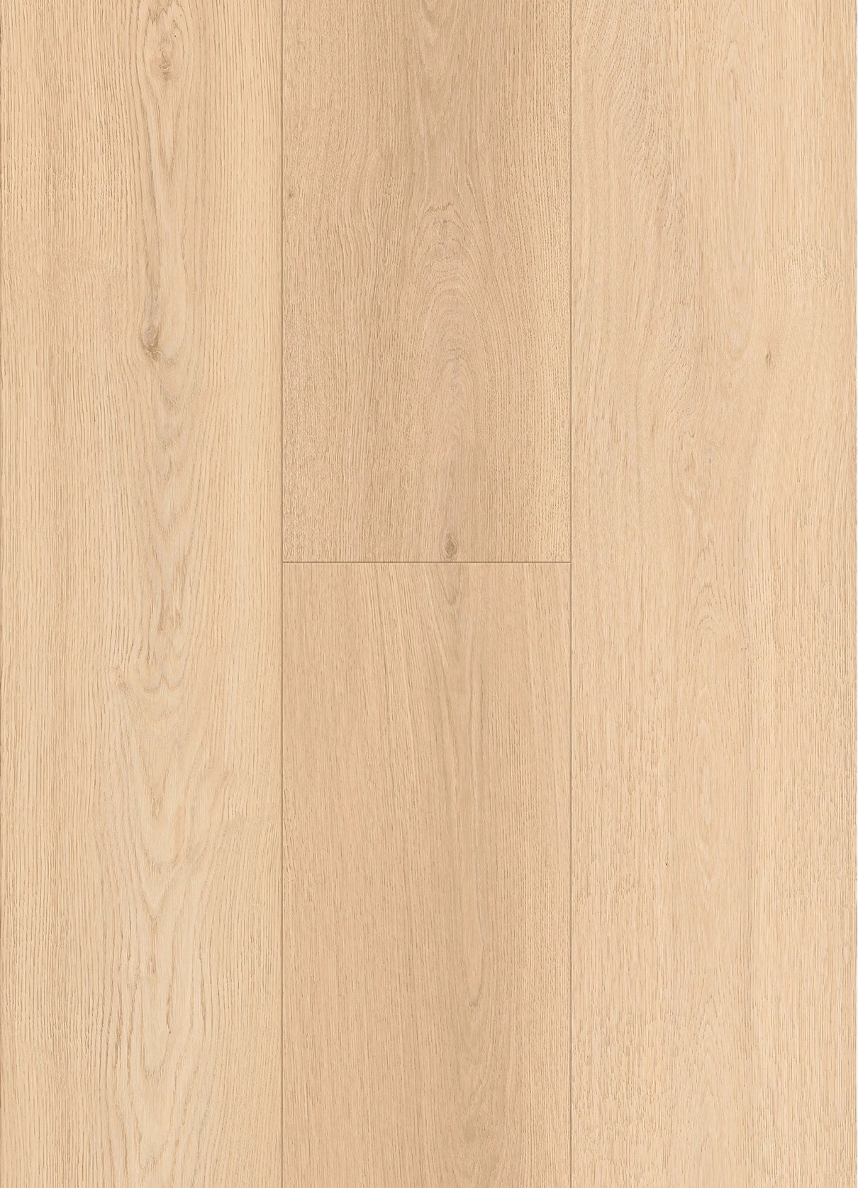 Potenza Sample - FREE