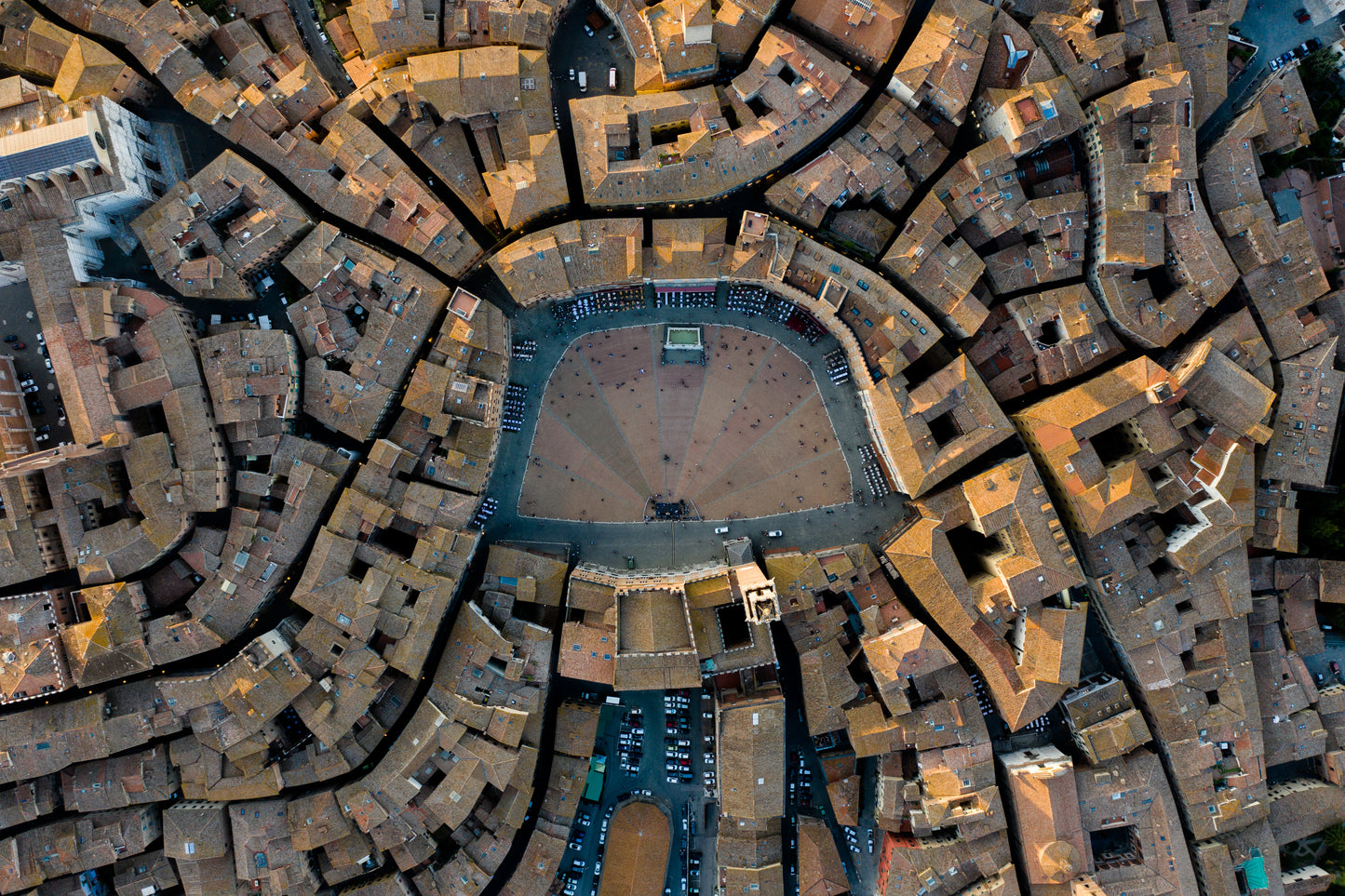 Siena - Carton