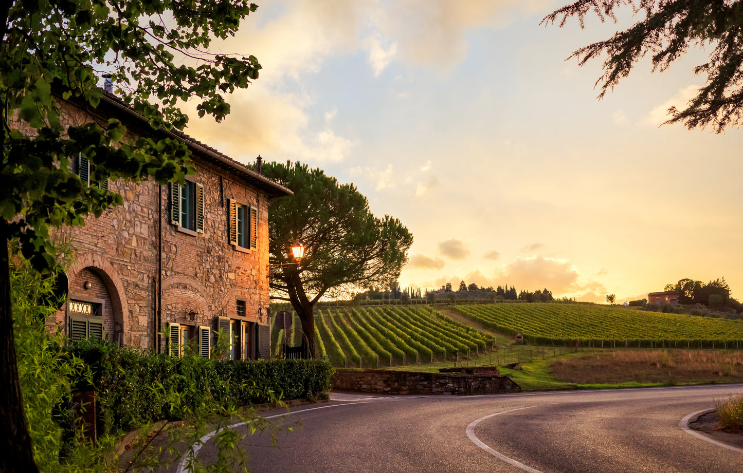 Toscana - Carton