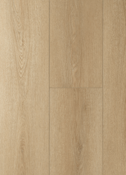 Balena French Collection Retail Display