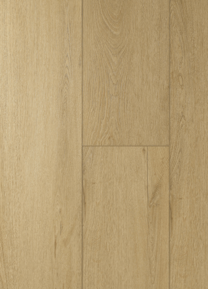Balena French Collection Retail Display