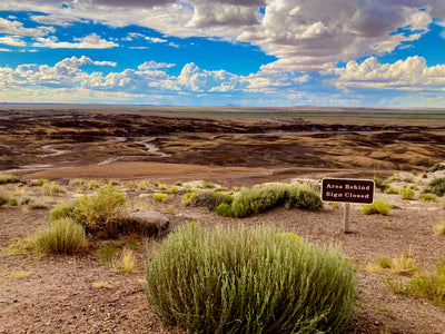 Painted Desert